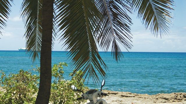 Renting a Motorbike on Koh Phangan: The Honest Guide